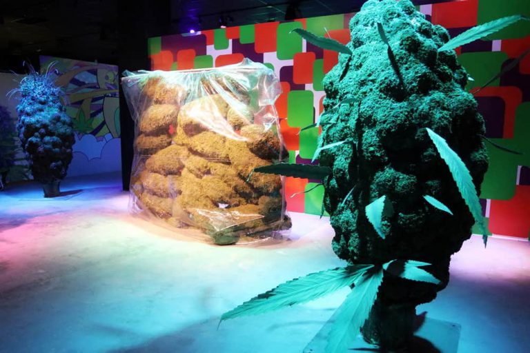 Las Vegas’ Cannabition Museum Offers a Fresh Spin on Tourism