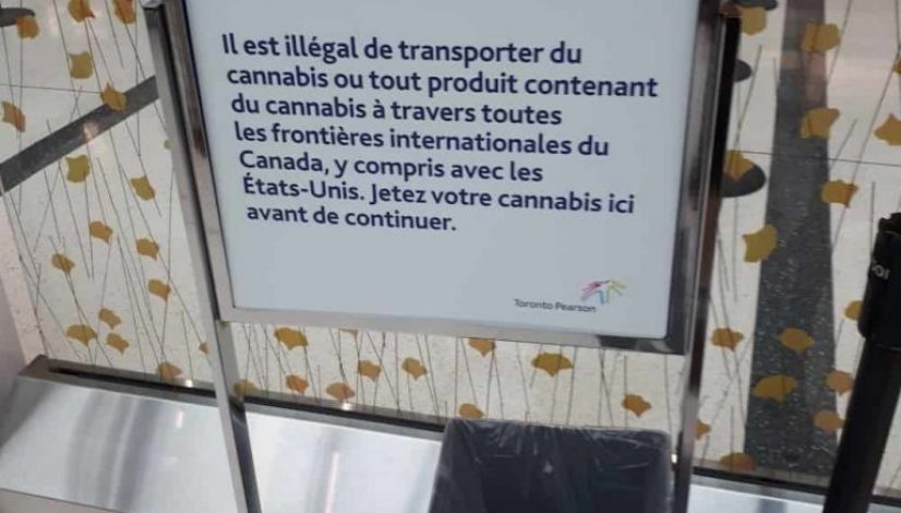 toronto-airport-installs-cannabis-disposal-bins-for-international-travelers_1
