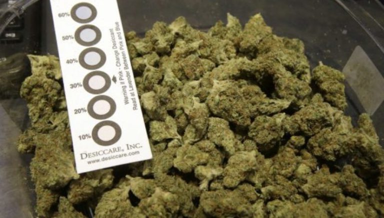 After long wait, 1st legal marijuana shops on East Coast to open