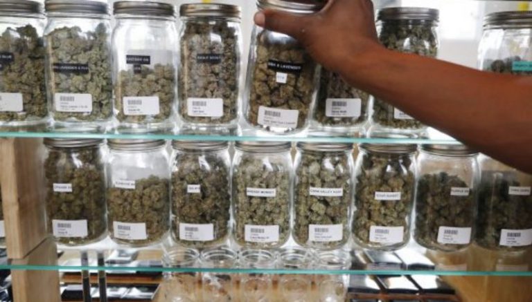 Michigan, North Dakota weigh bringing legal marijuana to Midwest