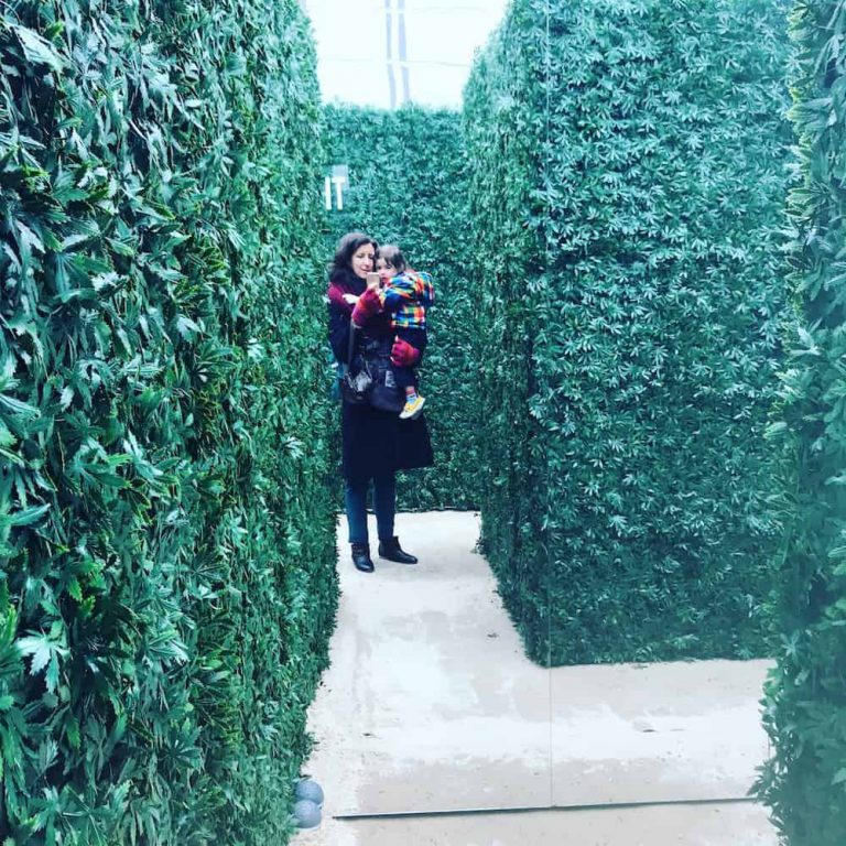 Mommy and Me Trip to the Weed Maze: Normalizing Cannabis for Toddlers
