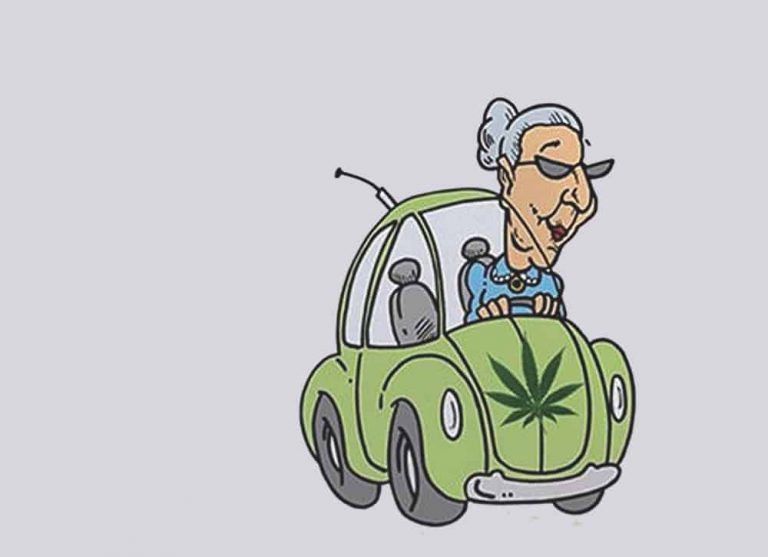 Silver Heads: Medical Cannabis Advocacy for Seniors