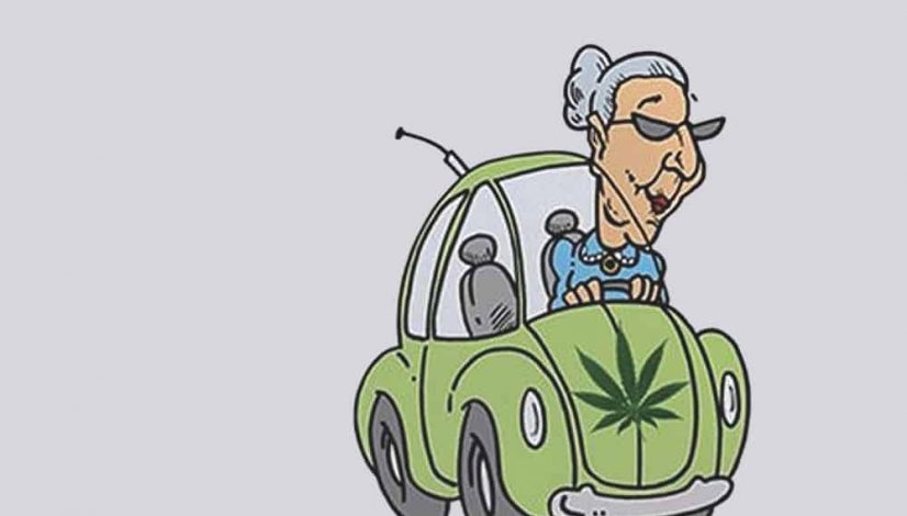 silver-heads-medical-cannabis-advocacy-for-seniors_1