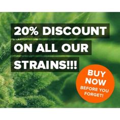 The Ins & Outs Of Buying Cheap Cannabis, discounted cannabis, discounted weed, discounted marijuana