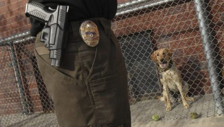 Colorado Supreme Court to hear arguments in case that will decide future of pot-sniffing police dogs