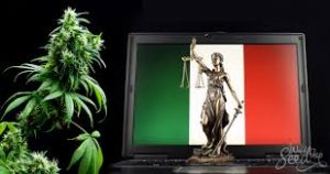 Cannabis light, Italian hemp, cannabis legalization, Hemp Farming Act, industrial hemp