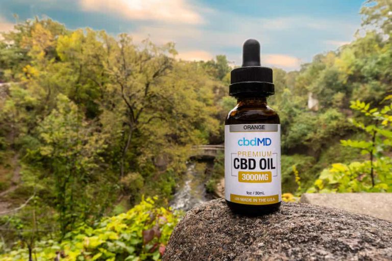 The 24 Best CBD Products in America