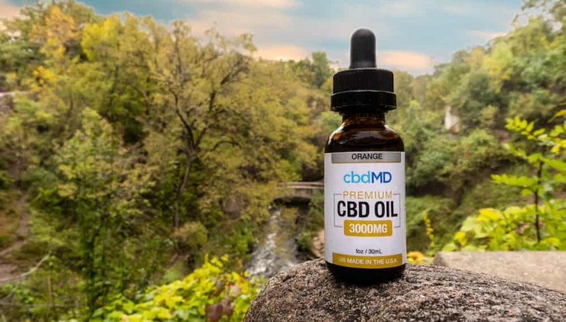 the-24-best-cbd-products-in-america_1